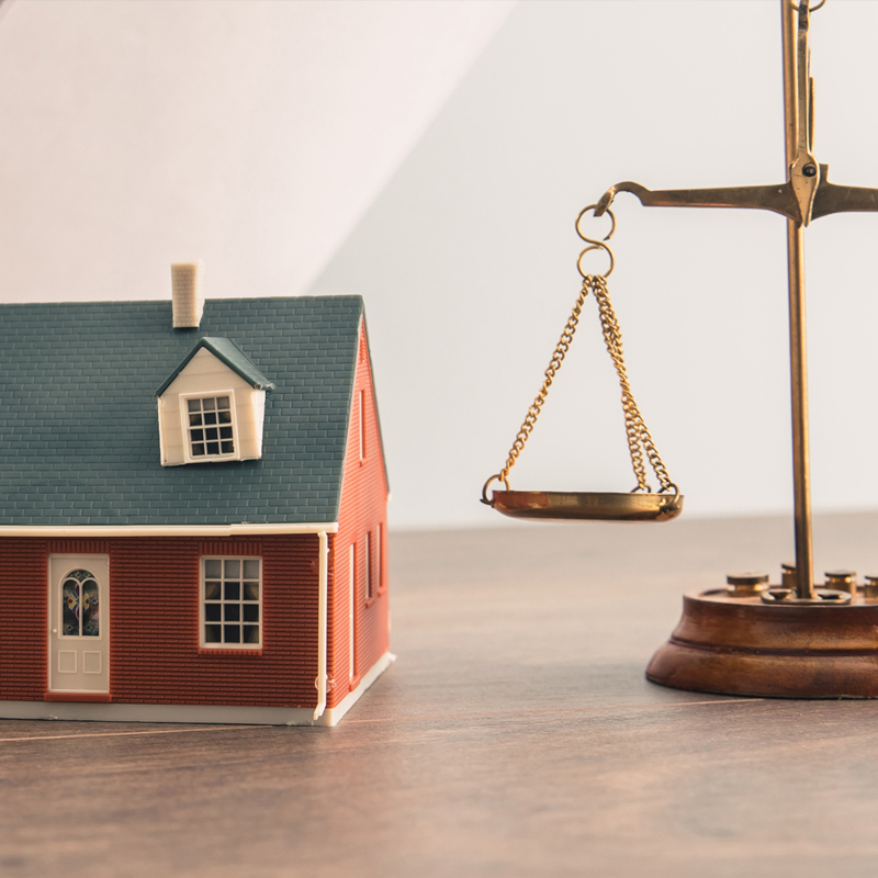 mortgage expert witness